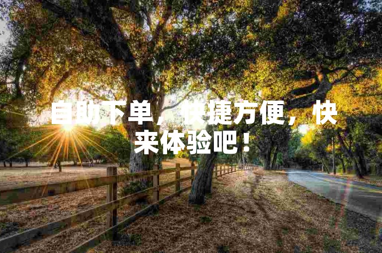 自助下单，快捷方便，快来体验吧！