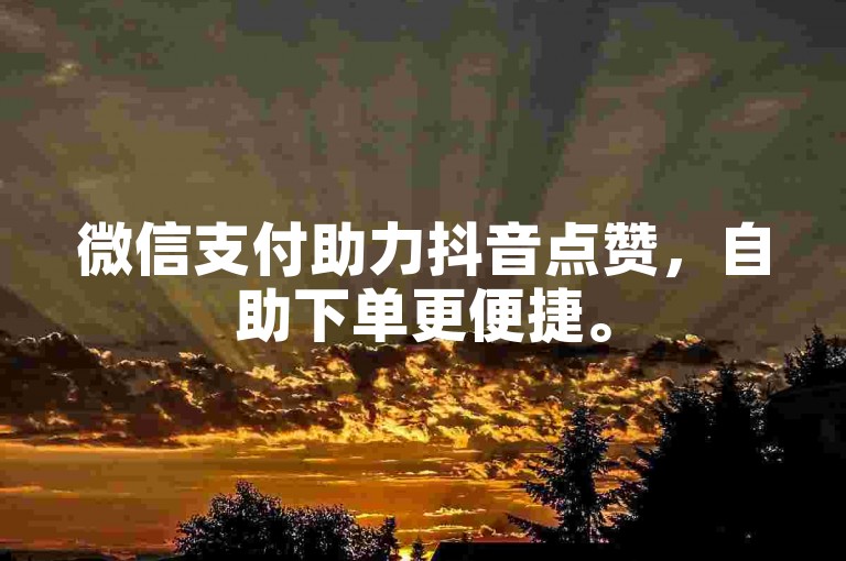 微信支付助力抖音点赞，自助下单更便捷。