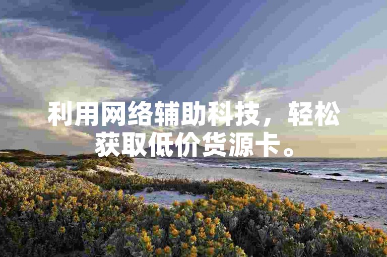 利用网络辅助科技，轻松获取低价货源卡。