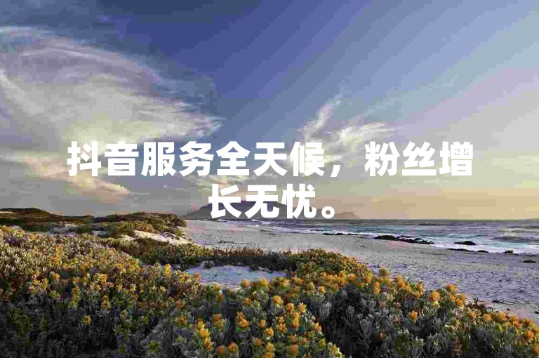 抖音服务全天候，粉丝增长无忧。