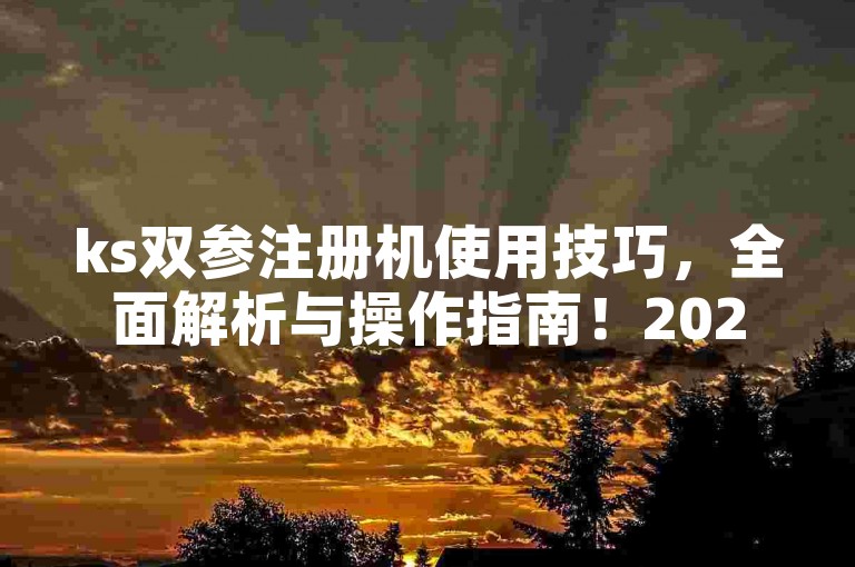 ks双参注册机使用技巧，全面解析与操作指南！2025必备。