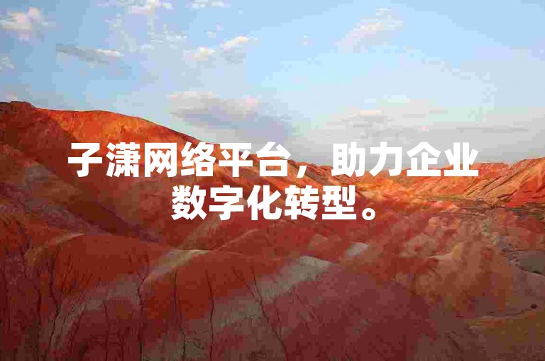 子潇网络平台，助力企业数字化转型。