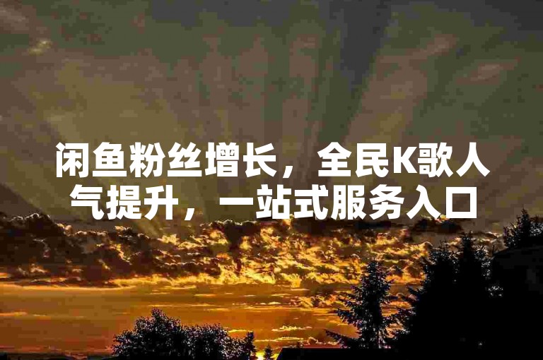 闲鱼粉丝增长，全民K歌人气提升，一站式服务入口。