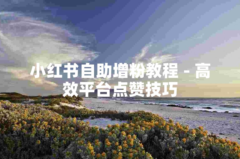 小红书自助增粉教程 - 高效平台点赞技巧