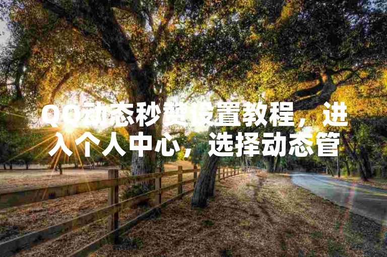 QQ动态秒赞设置教程，进入个人中心，选择动态管理，开启秒赞功能。