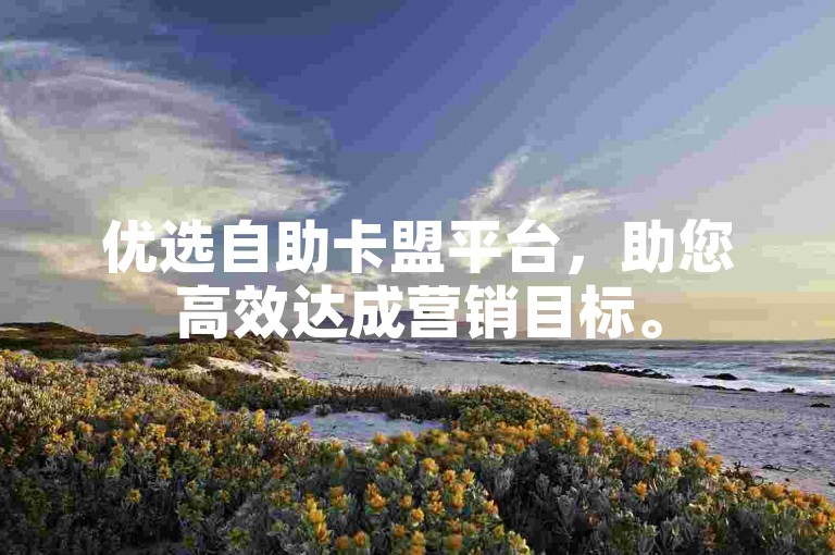 优选自助卡盟平台，助您高效达成营销目标。