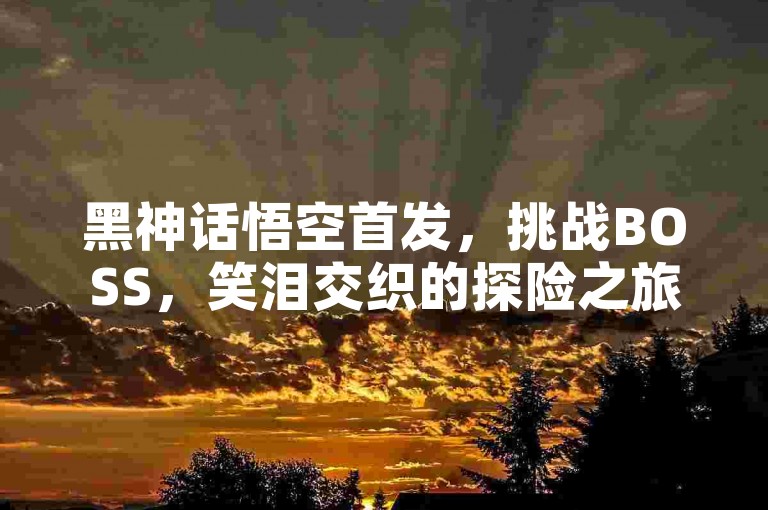 黑神话悟空首发，挑战BOSS，笑泪交织的探险之旅🔥