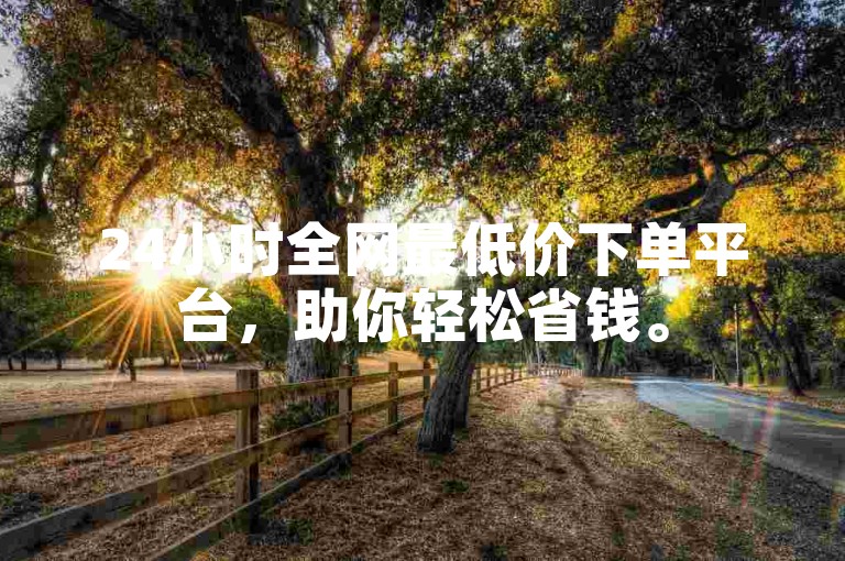 24小时全网最低价下单平台，助你轻松省钱。