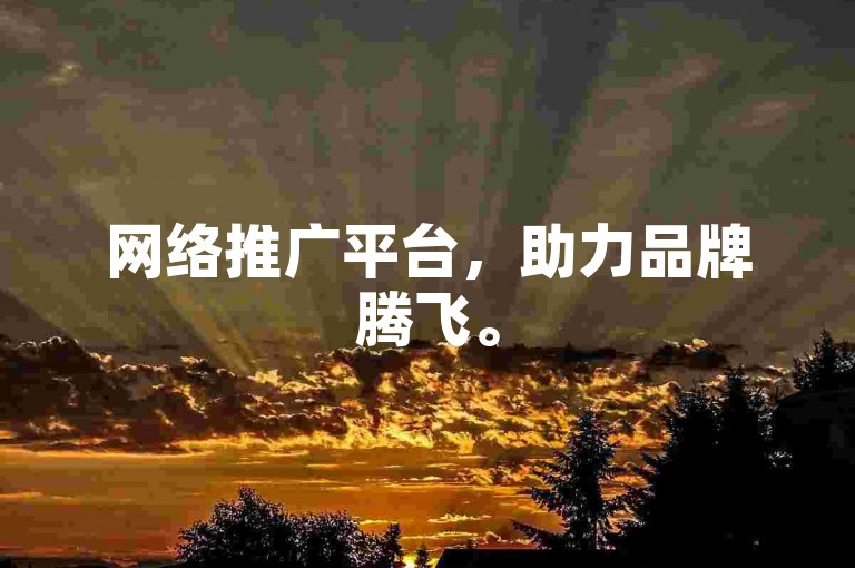 网络推广平台，助力品牌腾飞。