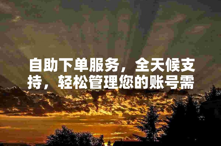 自助下单服务，全天候支持，轻松管理您的账号需求。