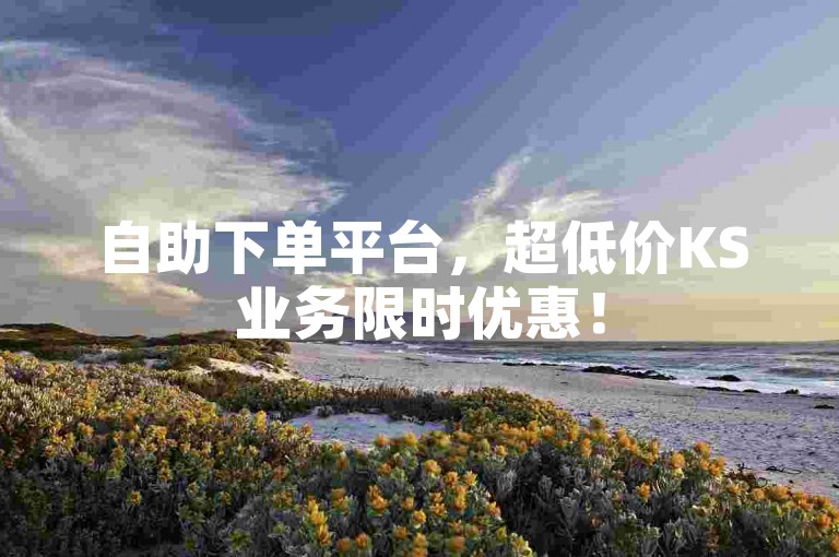 自助下单平台，超低价KS业务限时优惠！