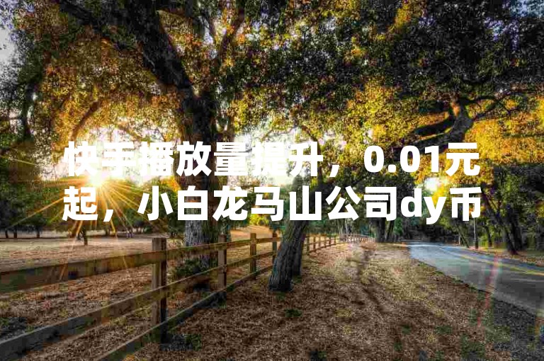 快手播放量提升，0.01元起，小白龙马山公司dy币自助购买。