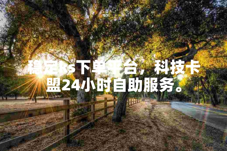 稳定ks下单平台，科技卡盟24小时自助服务。