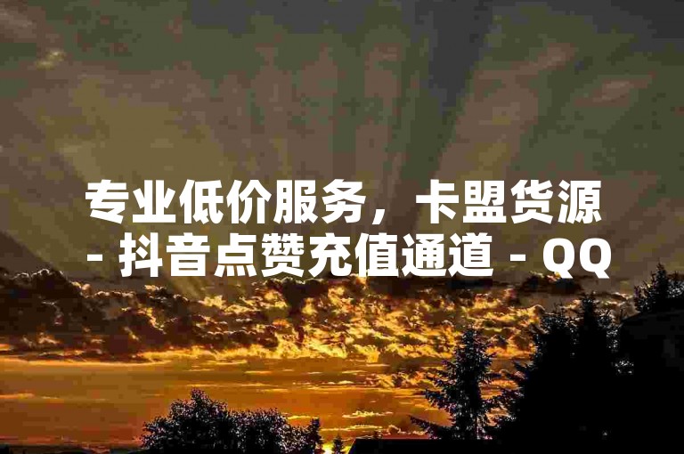 专业低价服务，卡盟货源 - 抖音点赞充值通道 - QQ说说赞自助购买