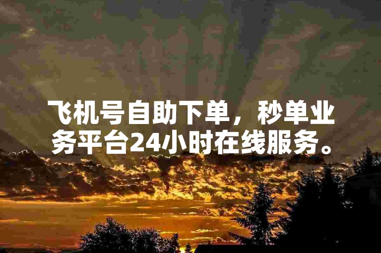 飞机号自助下单，秒单业务平台24小时在线服务。