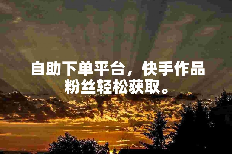 自助下单平台，快手作品粉丝轻松获取。