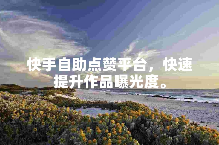 快手自助点赞平台，快速提升作品曝光度。