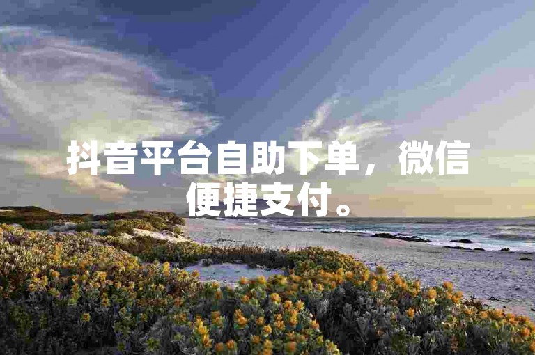 抖音平台自助下单，微信便捷支付。