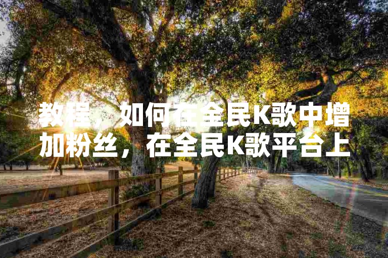 教程，如何在全民K歌中增加粉丝，在全民K歌平台上，通过发布高质量的作品、参与活动和互动可以有效增加粉丝数量。