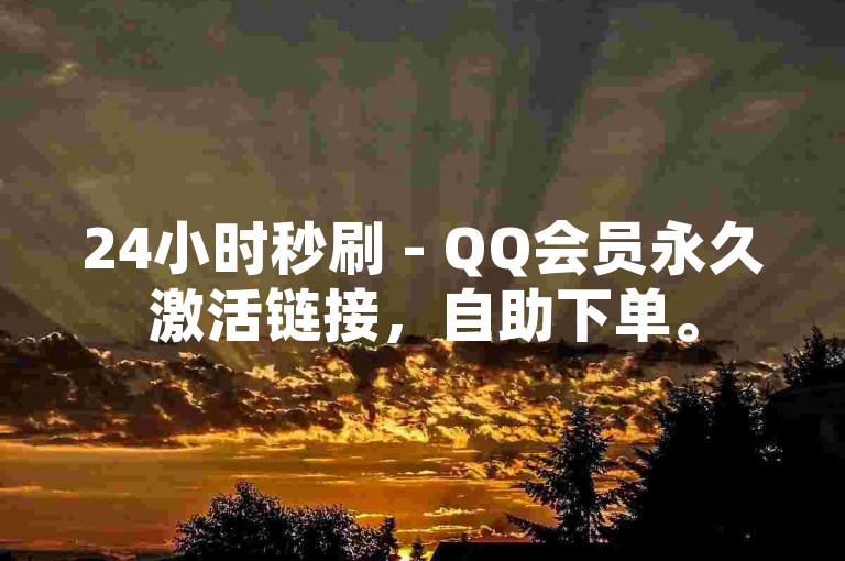 24小时秒刷 - QQ会员永久激活链接，自助下单。