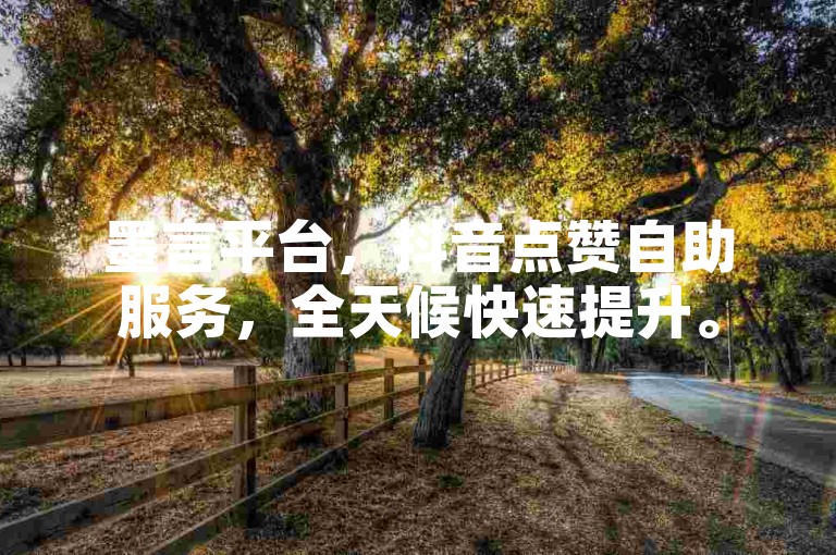 墨言平台，抖音点赞自助服务，全天候快速提升。