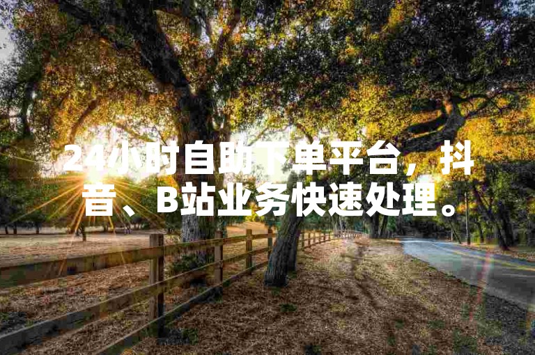 24小时自助下单平台，抖音、B站业务快速处理。