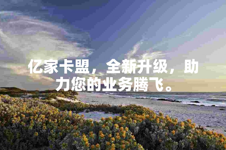 亿家卡盟，全新升级，助力您的业务腾飞。