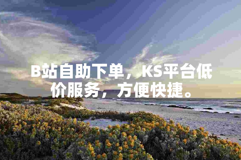 B站自助下单，KS平台低价服务，方便快捷。