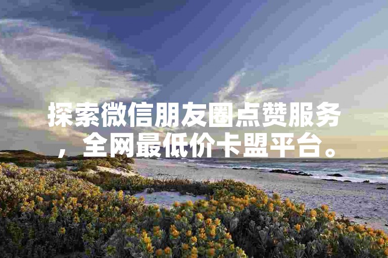 探索微信朋友圈点赞服务，全网最低价卡盟平台。