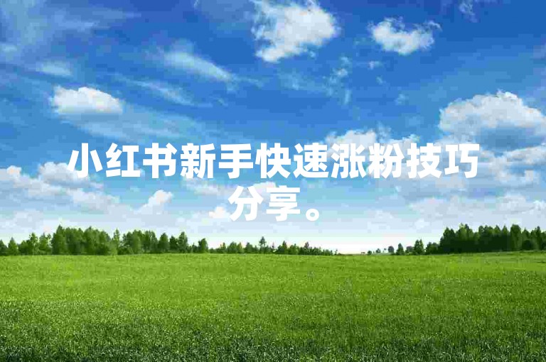 小红书新手快速涨粉技巧分享。