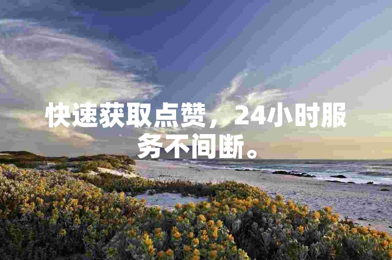 快速获取点赞，24小时服务不间断。
