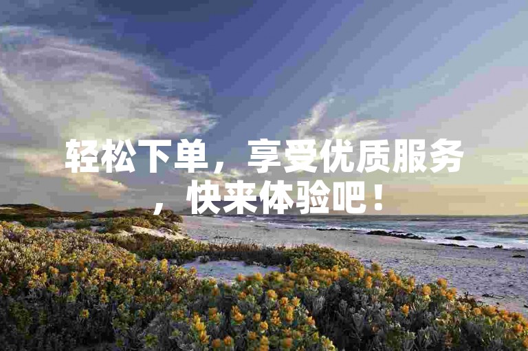 轻松下单，享受优质服务，快来体验吧！