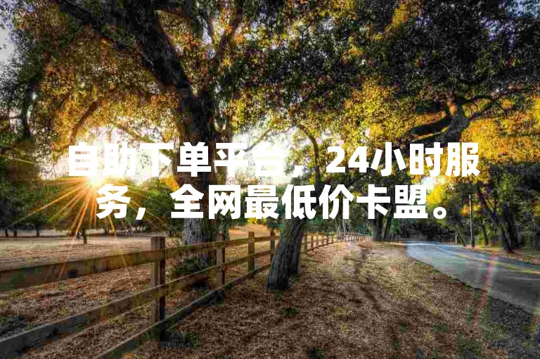 自助下单平台，24小时服务，全网最低价卡盟。