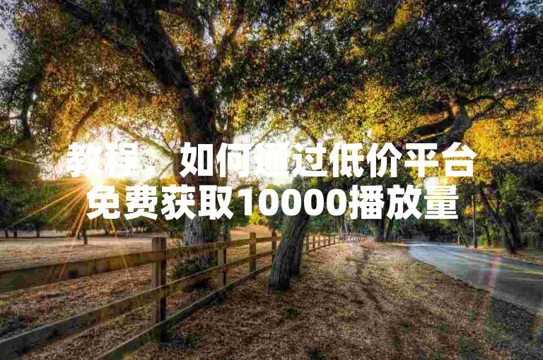 教程，如何通过低价平台免费获取10000播放量