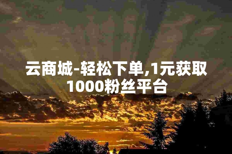 云商城-轻松下单,1元获取1000粉丝平台