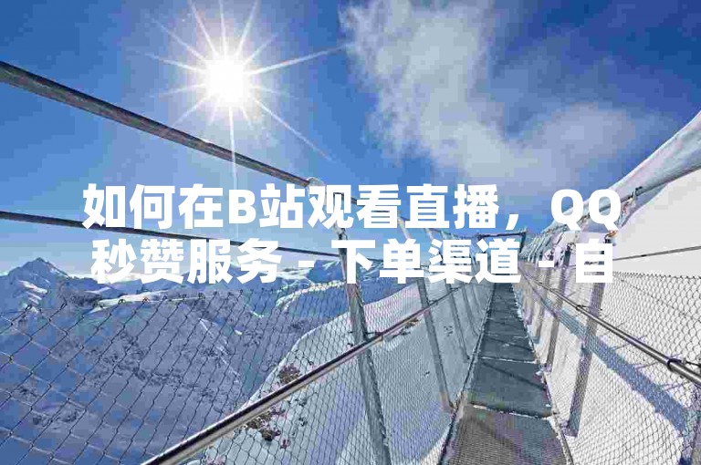 如何在B站观看直播，QQ秒赞服务 - 下单渠道 - 自动发卡平台。