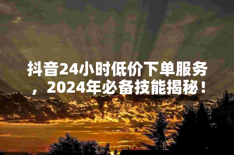 抖音24小时低价下单服务，2024年必备技能揭秘！