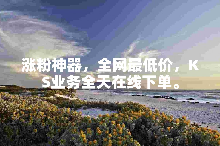 涨粉神器，全网最低价，KS业务全天在线下单。