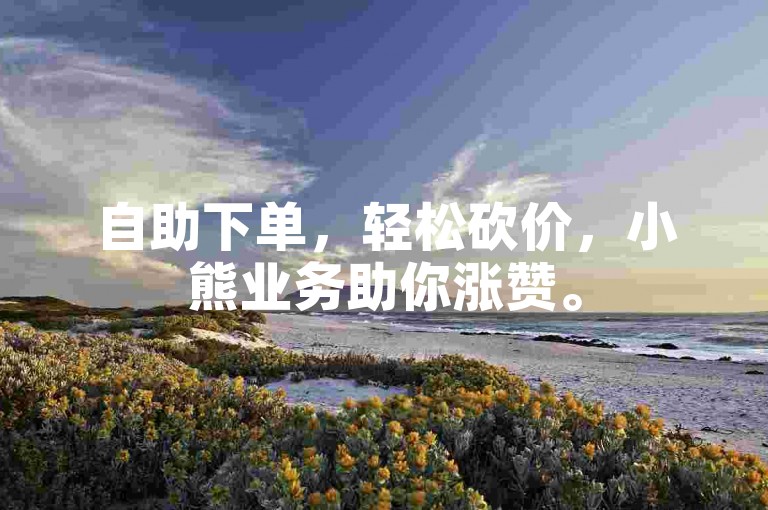 自助下单，轻松砍价，小熊业务助你涨赞。
