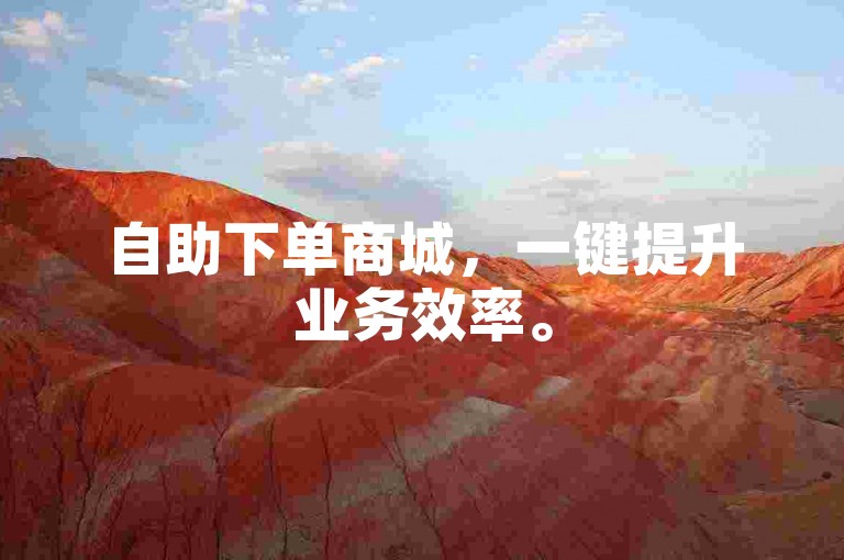 自助下单商城，一键提升业务效率。