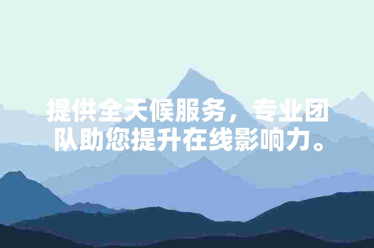提供全天候服务，专业团队助您提升在线影响力。