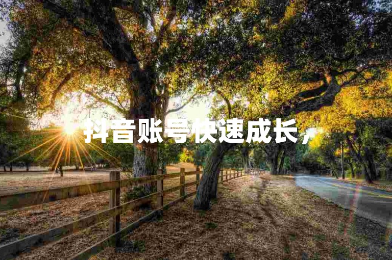 抖音账号快速成长，520代刷网助你一臂之力。