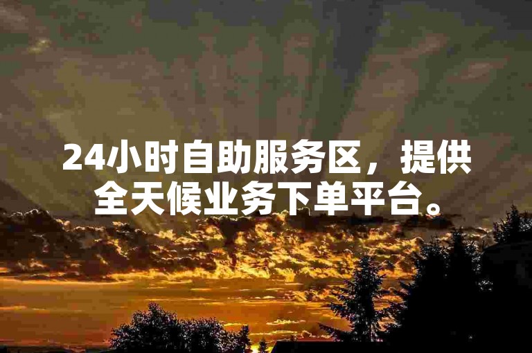 24小时自助服务区，提供全天候业务下单平台。
