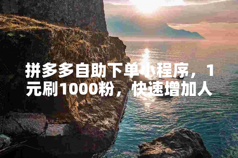拼多多自助下单小程序，1元刷1000粉，快速增加人气。
