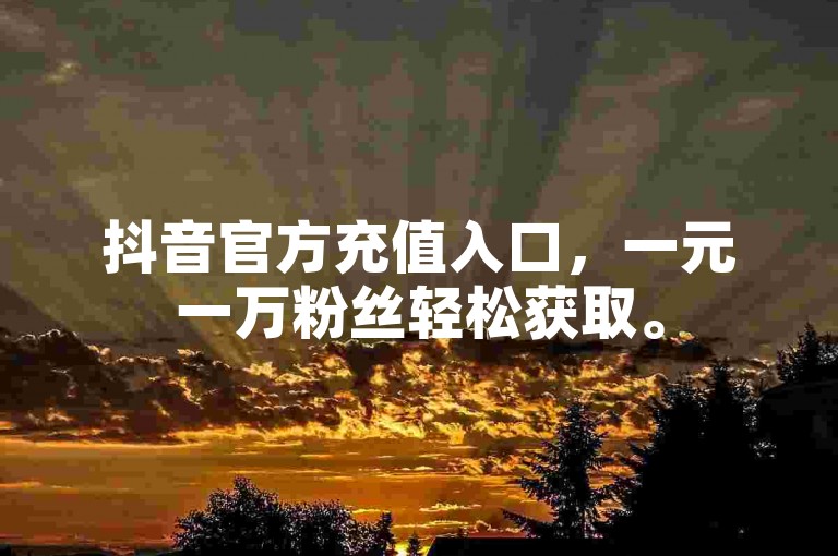 抖音官方充值入口，一元一万粉丝轻松获取。