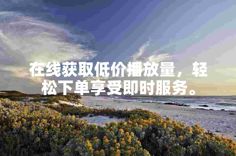 在线获取低价播放量，轻松下单享受即时服务。