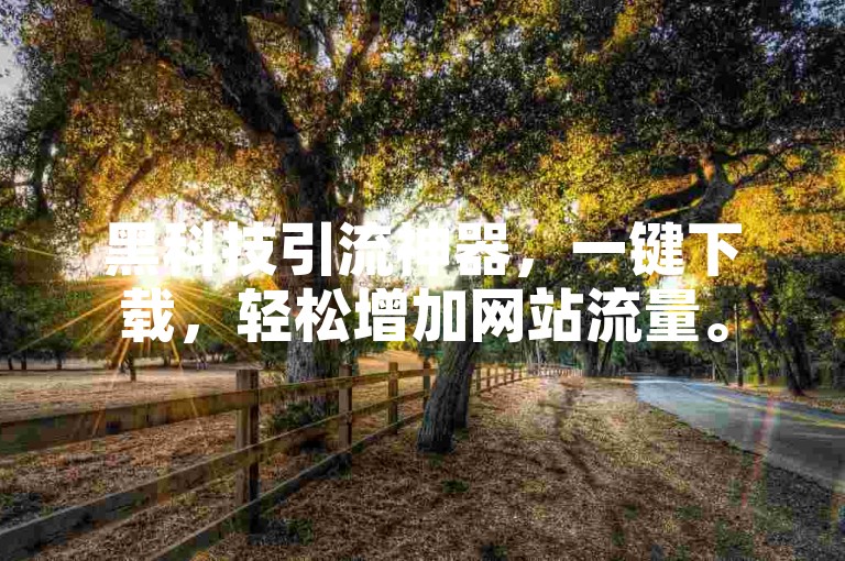 黑科技引流神器，一键下载，轻松增加网站流量。
