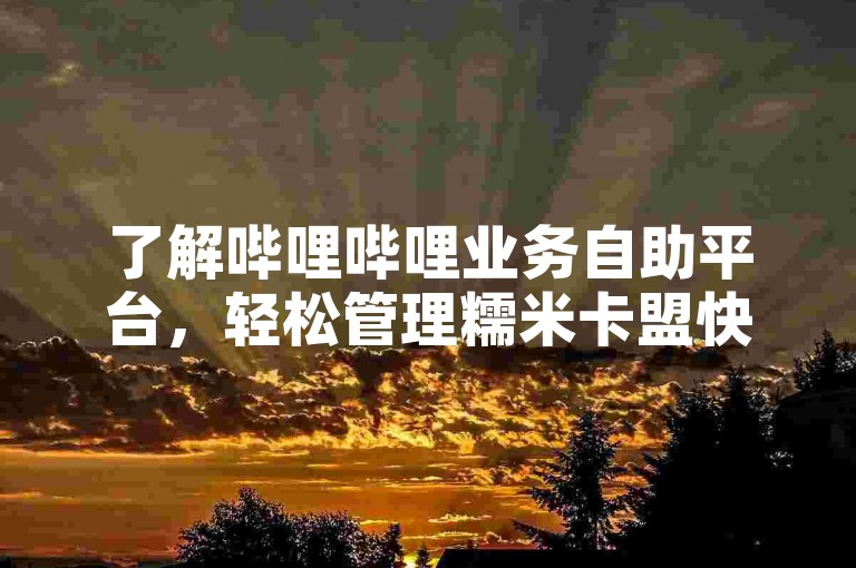 了解哔哩哔哩业务自助平台，轻松管理糯米卡盟快手账户。