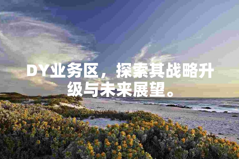 DY业务区，探索其战略升级与未来展望。