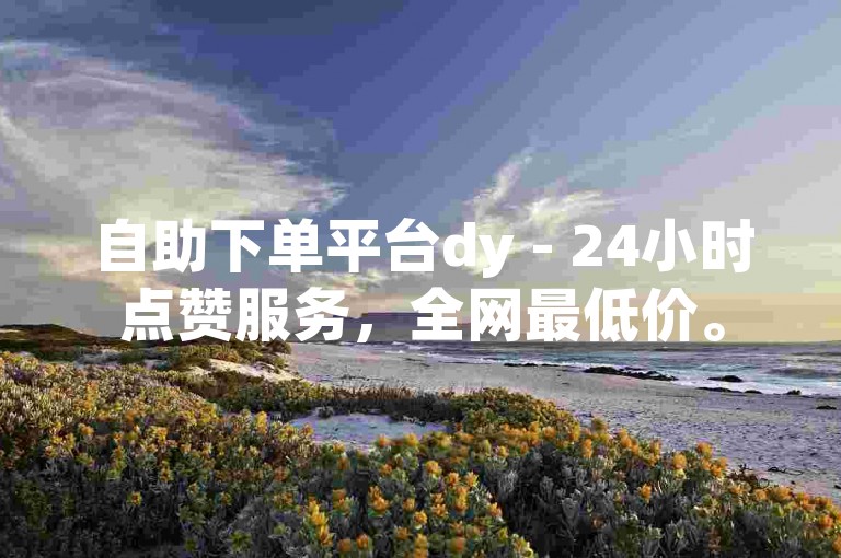 自助下单平台dy - 24小时点赞服务，全网最低价。